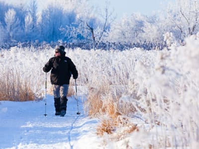 Billet Location de raquettes dans le parc des Îles-de-Boucherville, Montréal