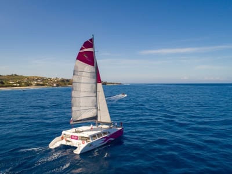 Billet Balade en catamaran à La Réunion depuis Le Port