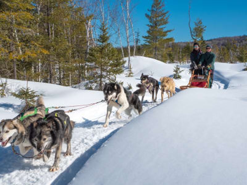 Billet Découverte du traîneau à chiens à Saint-Siméon, Charlevoix