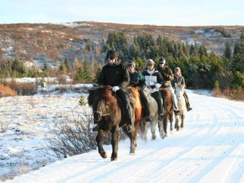 Billet Excursion expérimentée de 2,5 à 3 heures à cheval près de Reykjavík