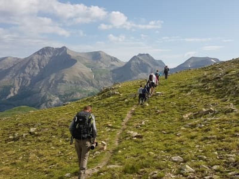 Billet Randonnée faune sauvage du Mercantour au départ d’Allos