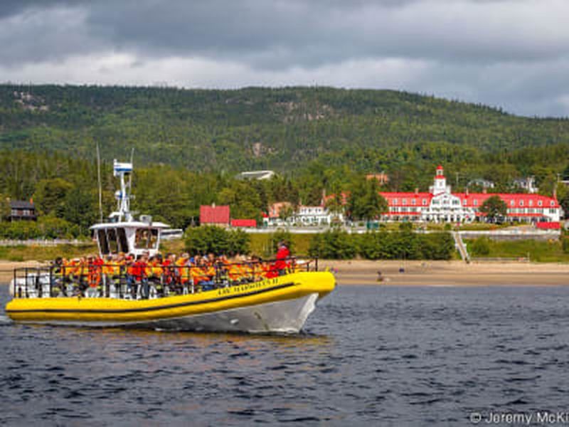 Billet Excursion aux baleines en zodiac sur le Saint Laurent, départ Baie Ste-Catherine