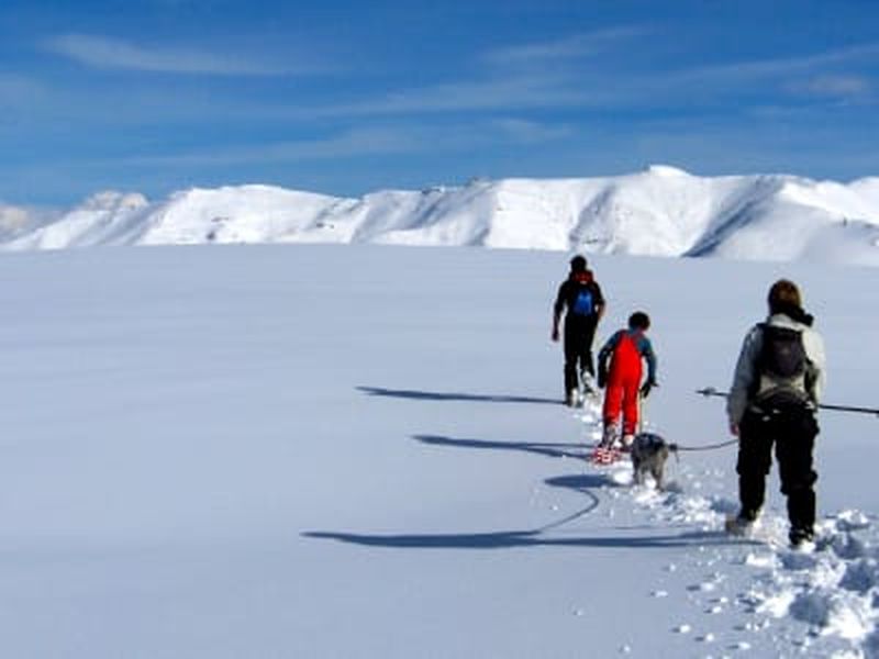 Billet Randonnée raquettes à neige autour du Lioran, Massif du Cantal