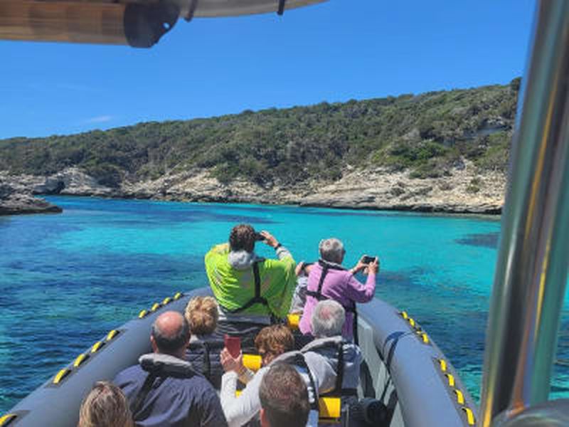 Billet Excursion en bateau depuis Santa Giulia, Corse du Sud