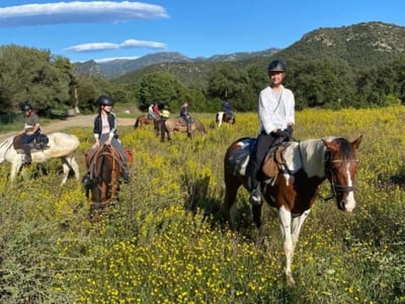Billet Découverte de la balade à cheval près de la vallée du Cortenais, Corte