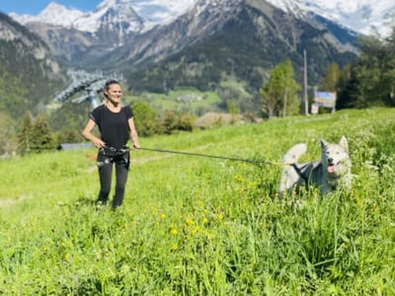 Billet Cani-randonnée à Saint-Gervais-les-Bains, Evasion Mont-Blanc