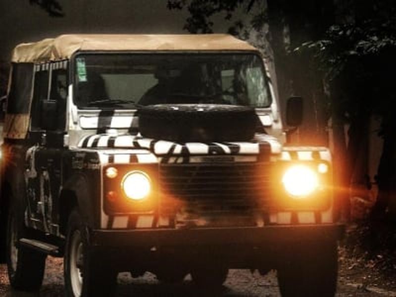 Billet Safari en jeep d'une journée au départ de Sintra