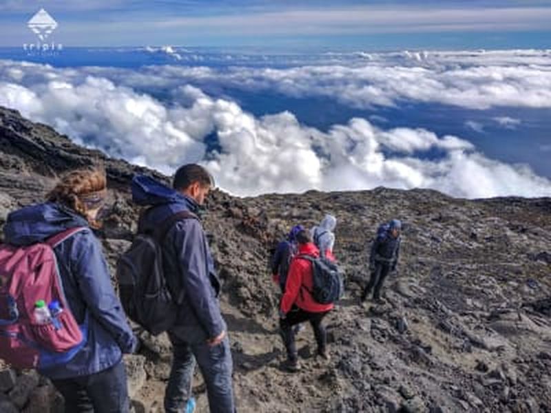 Billet Excursion d'une journée pour escalader le mont Pico à Ilha de Pico, Açores