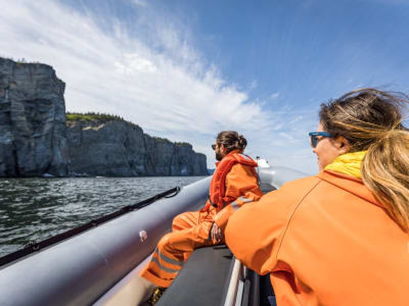Billet Croisière d'observation des baleines en zodiac au départ de Gaspé