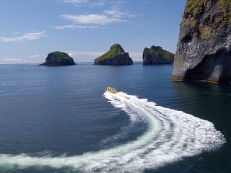Billet Excursion d'une heure en bateau pneumatique dans l'archipel des Vestmannaeyjar