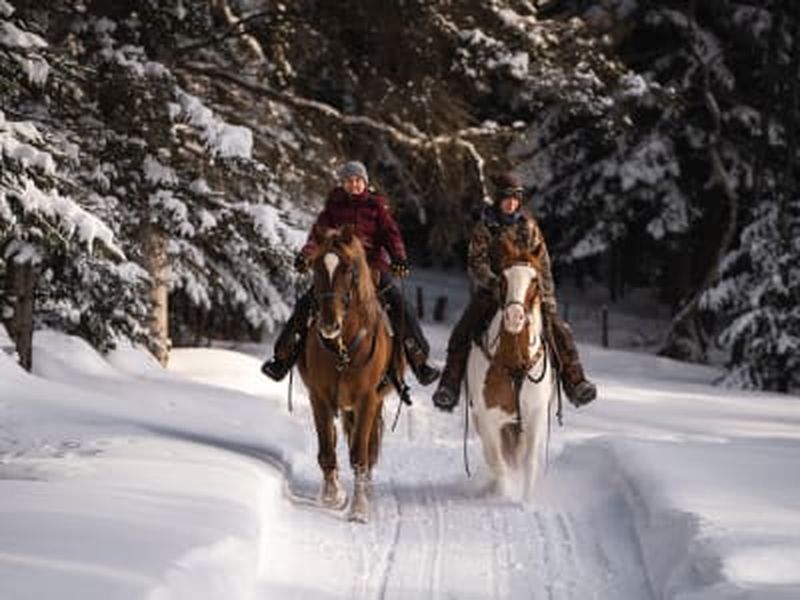 Billet Balade à cheval dans la Vallée du Gouffre, Charlevoix