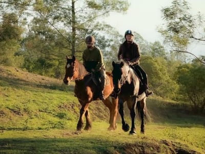 Billet Balade à cheval avancée sur le Piton Maïdo, La Réunion