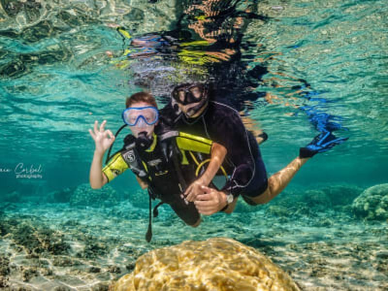 Billet Baptême de plongée sous-marine à Saint-Gilles, La Réunion