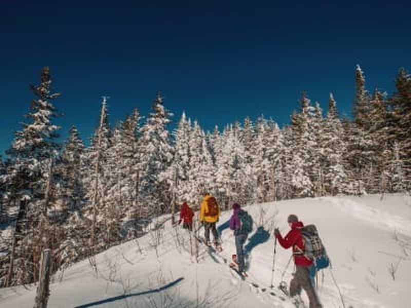 Billet Randonnée en raquettes au Parc national du Mont-Tremblant depuis Montréal