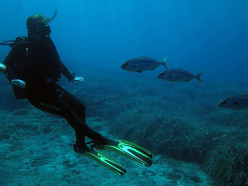 Billet Cours PADI Open Water à Alonissos