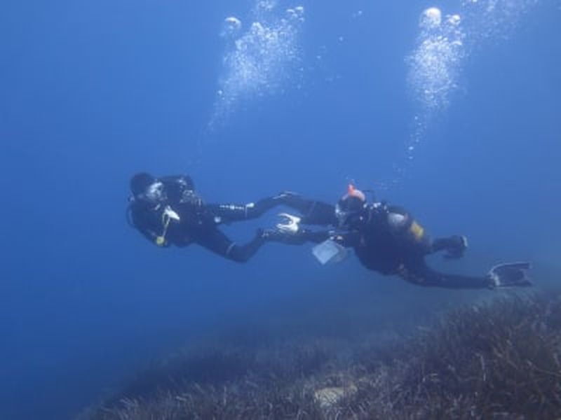 Billet Cours de plongée libre à Amorgos