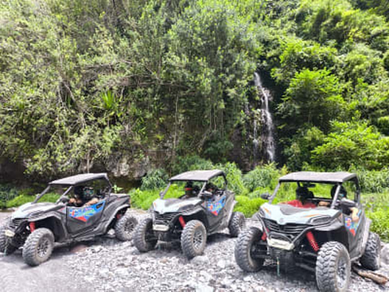 Billet Randonnée en buggy dans la forêt de Mont Vert, La Réunion