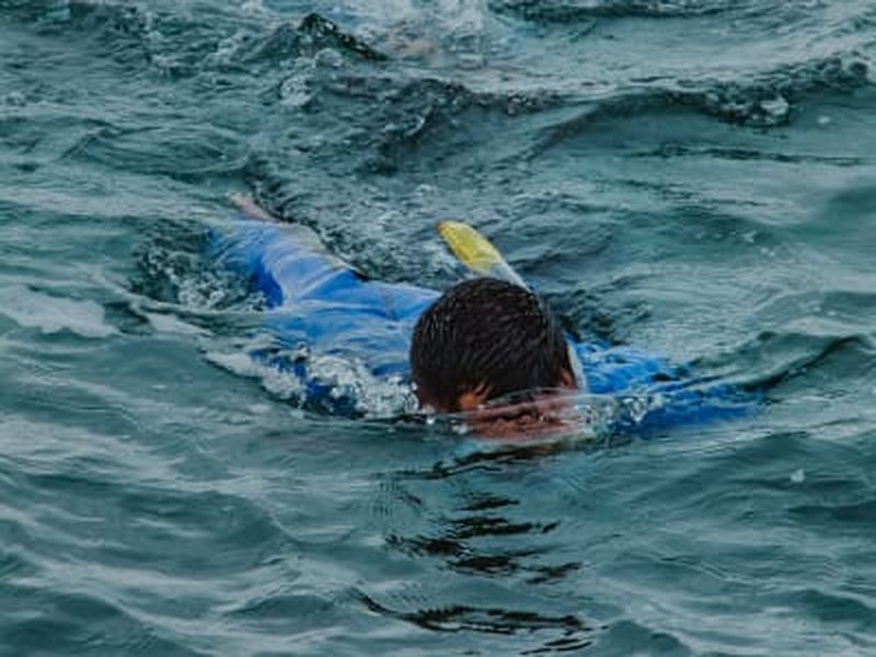Billet Excursion de snorkeling à Terceira, Açores