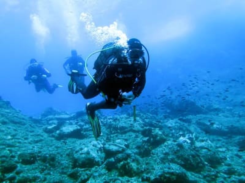 Billet Découvrez la plongée sous-marine à Alonissos