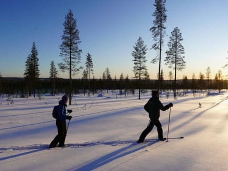 Billet Excursion de ski hors-piste en Laponie près de Rovaniemi