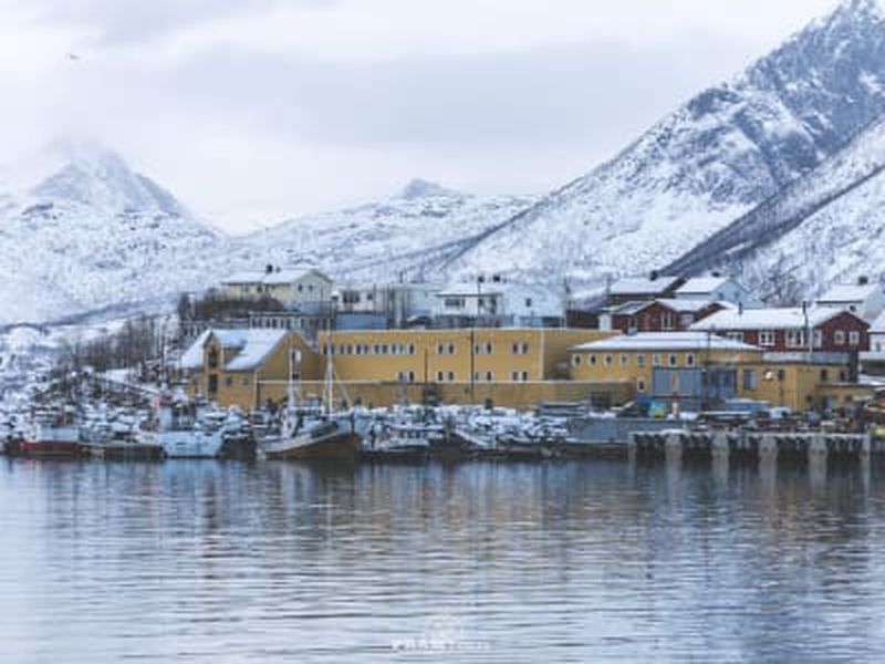 Billet Visite en minibus des îles Senja et Kvaløya au départ de Tromsø