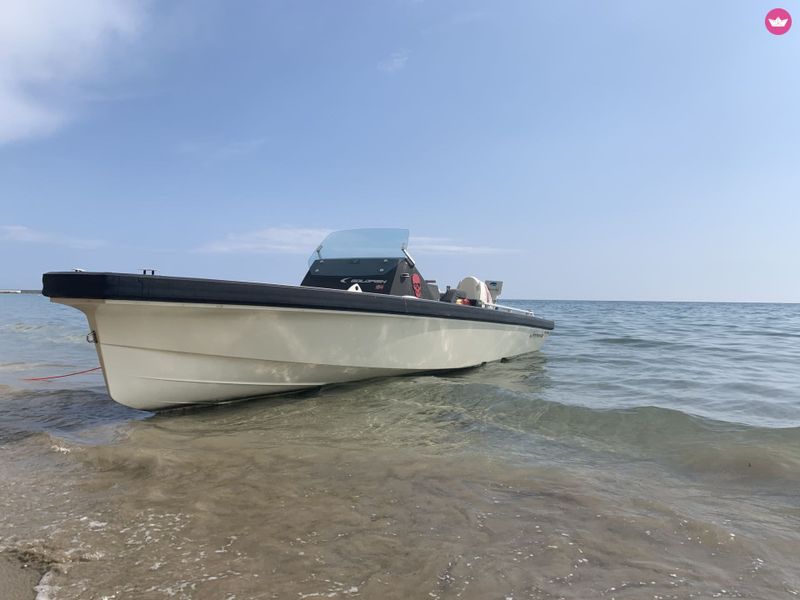 Billet Sortie au Large - À la Rencontre des Dauphins (4h)