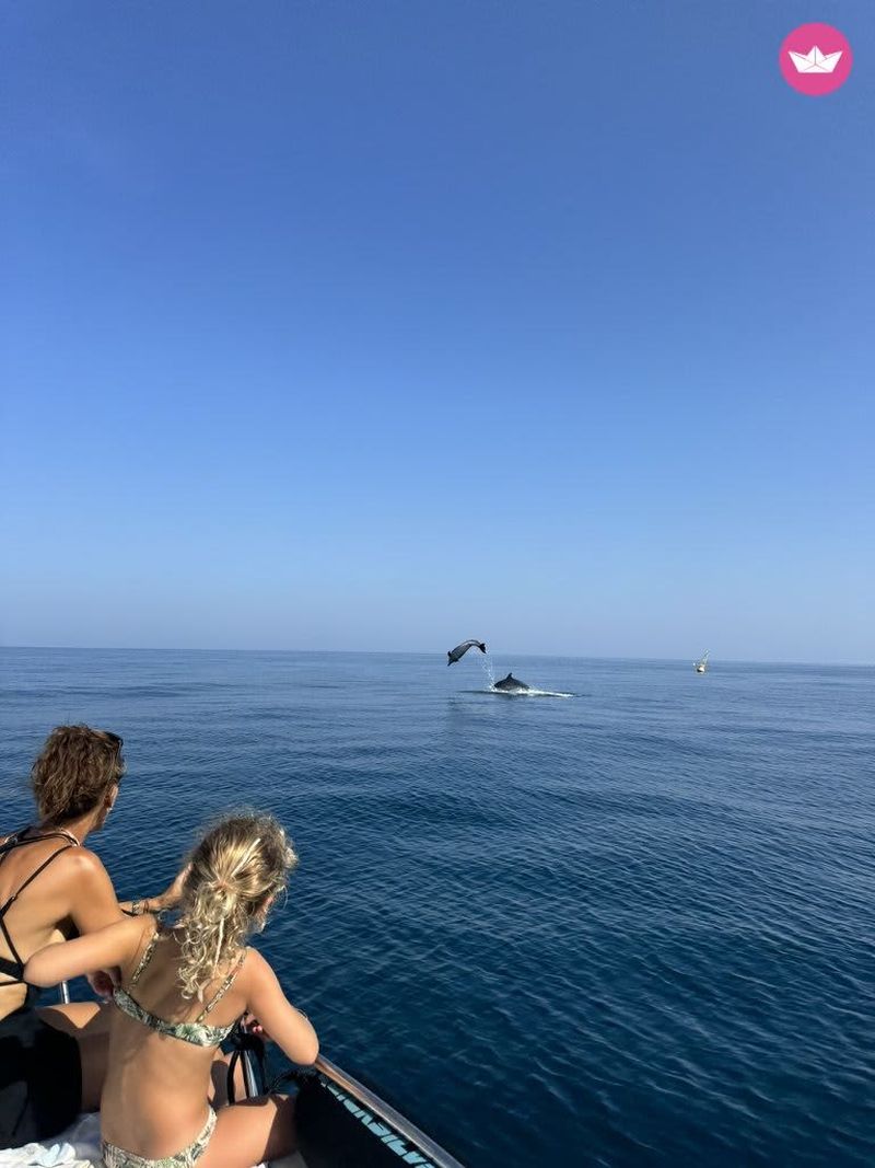 Billet Croisière d'une journée en catamaran de luxe à Faro – Ria Formosa et côte de l'Algarve
