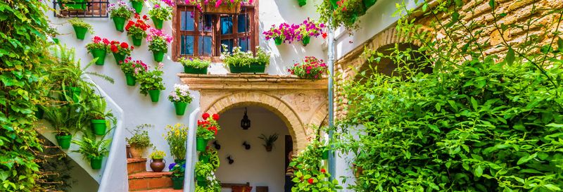 Billet Free tour des patios de Cordoue