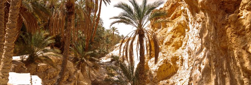 Billet Excursion privée depuis Tozeur