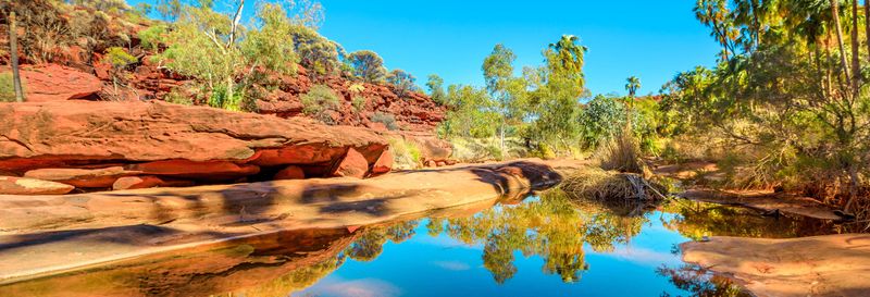 Billet Excursion en 4x4 dans Palm Valley