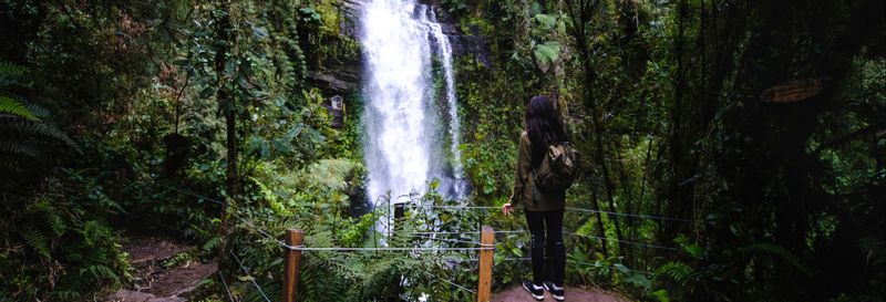 Billet Trek dans le Parc Aventure La Chorrera