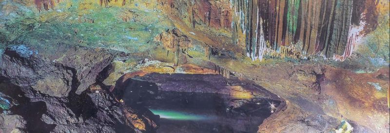 Billet Excursion aux grottes de San José