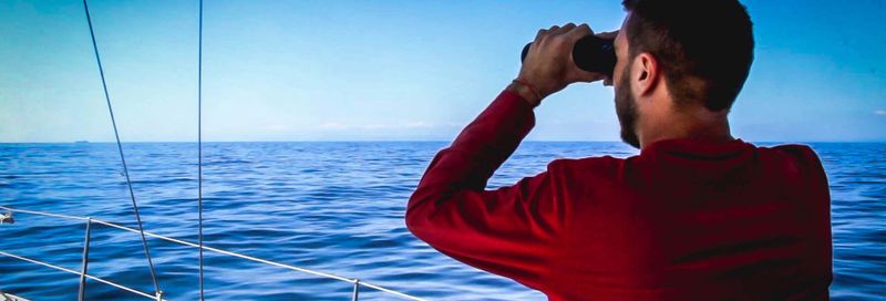 Billet Observation de dauphins et de baleines à Dénia