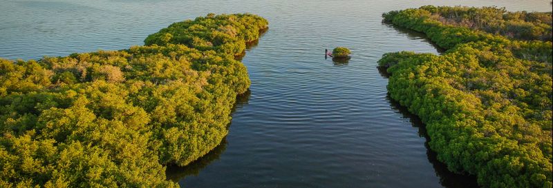 Billet Balade en kayak dans les mangroves du Mogote