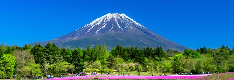Billet Excursion au Mont Fuji + Récolte de fruits