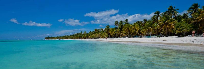 Billet Excursion en bateau à moteur privé sur l'île Saona