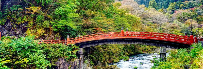 Billet Excursion privée à Nikko