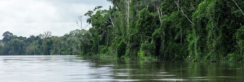 Billet Circuit de 3 jours dans la forêt amazonienne