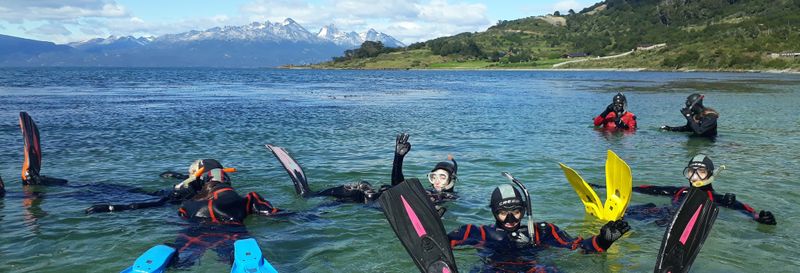 Billet Snorkeling dans le Canal Beagle