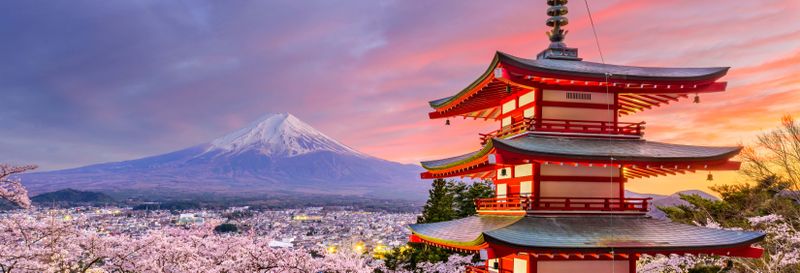 Billet Excursion au mont Fuji, au lac Kawaguchi et à la pagode Chureito