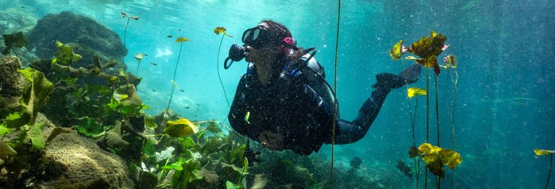 Billet Baptême de plongée dans un cénote de Mérida