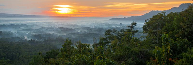 Billet Excursion privée à Punthuk Setumbu au lever du soleil + Temples Prambanan et Borobudur