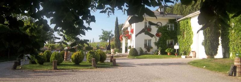 Billet Visite du domaine viticole de Jilabá avec dégustation de vin