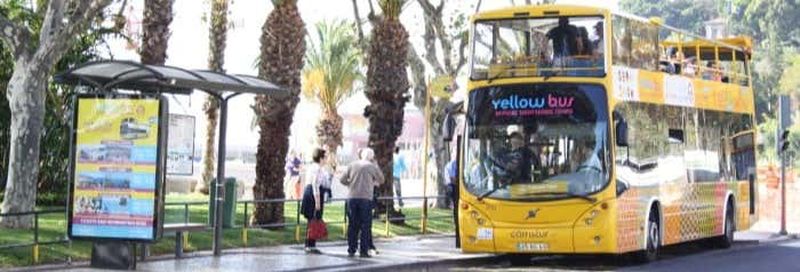 Billet Bus touristique de Funchal