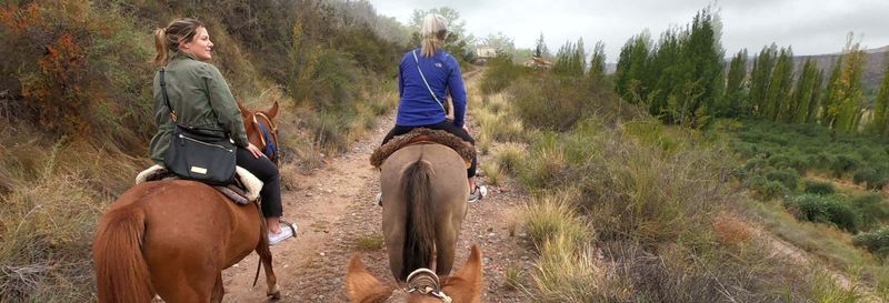 Billet Balade à cheval à Lunlunta