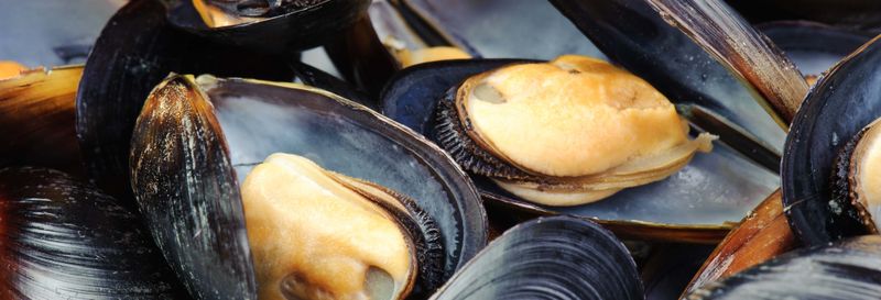 Billet Bateau dans l'estuaire + Dégustation de moules