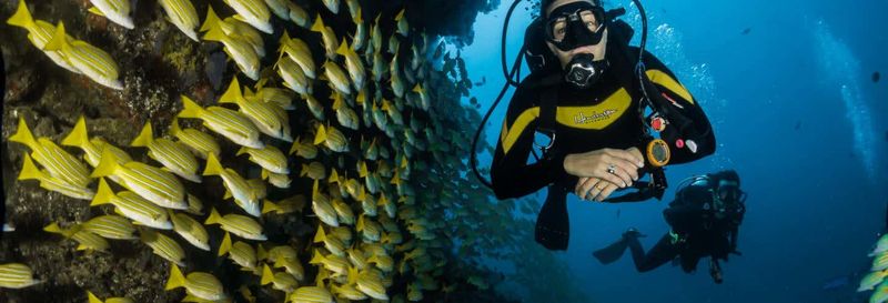 Billet Baptême de plongée à Maafushi