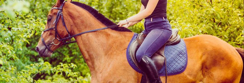 Billet Balade à cheval dans le Chianti