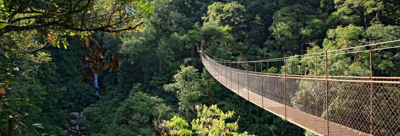 Billet Billet pour le parc d'aventure Tree Trek Boquete + Activités