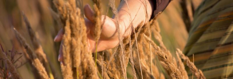 Billet Visite à la découverte de la bière à Curitiba